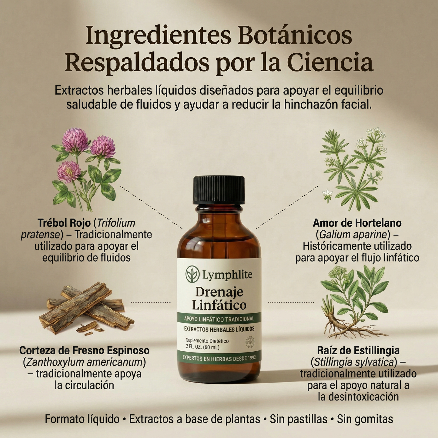 Lymphlite Drenaje Linfático